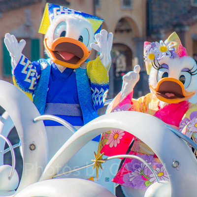 酉年のキャラクターはドナルドとデイジーでした♪