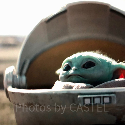 ザ・チャイルド（ベビーヨーダ）