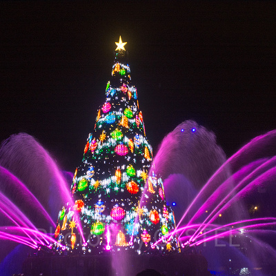 ハーバーに浮かぶカラフルなツリーは必見☆