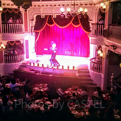 ザ・ダイヤモンドホースシュー