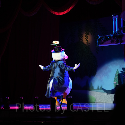 ザ・ダイヤモンド・バラエティマスター：ドナルドの頭にお花が！