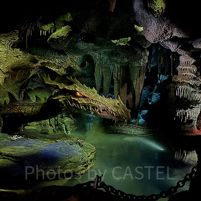 ドラゴンの洞窟(La Taniere du Dragon)の起きたドラゴン