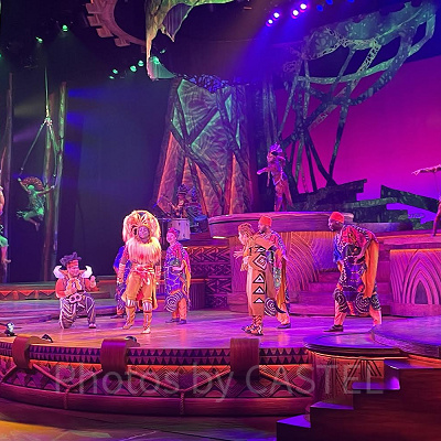 ライオンキングは現地ですでに大人気！