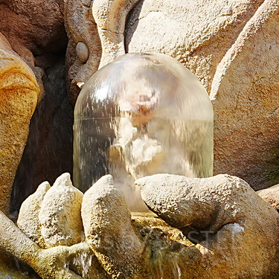 ベルと野獣が手に持つ魔法のバラ