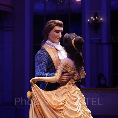 美女と野獣の魔法のものがたり