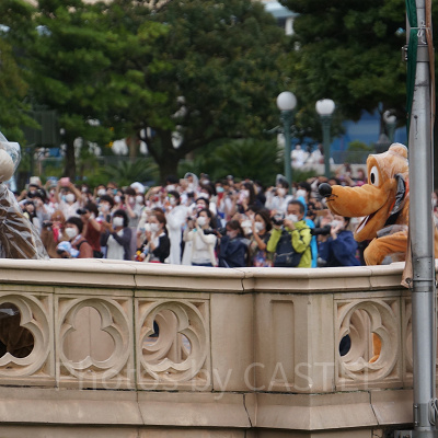 耳から何から何までピッタリのレインコートがかわいい