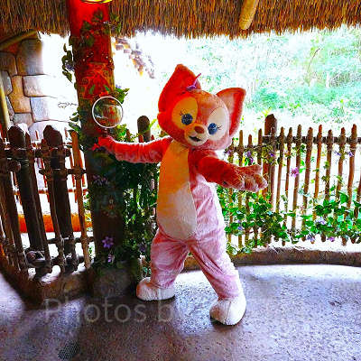 待ち時間の長い人気のリーナベルグリーティングもアーリーパークエントリーパスの利用だと快適