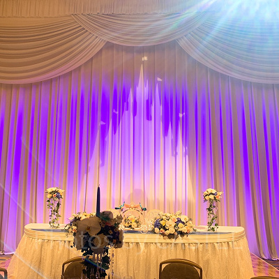 ディズニーで結婚式を挙げるメリットとデメリット