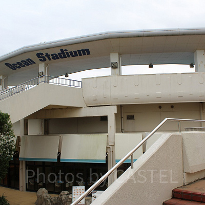 ショー会場は屋根付きなので雨でも安心