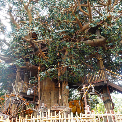 穴場の写真スポットでもあるスイスファミリー・ツリーハウス