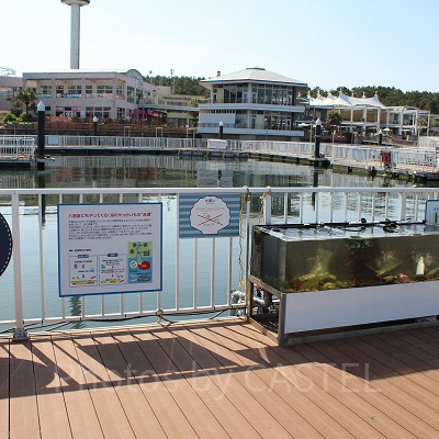 海洋ごみについて学べる展示も