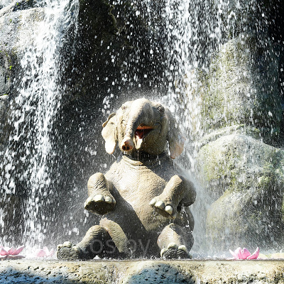 ゾウとワニがいる