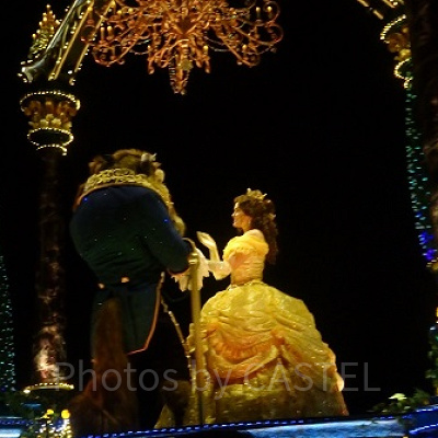 この二人も、ディズニーを代表するカップル。