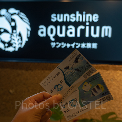 サンシャイン水族館のチケット