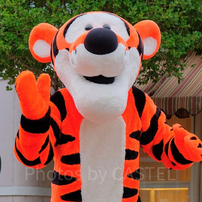 ティガーのプロフィール