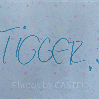 ティガーのサイン