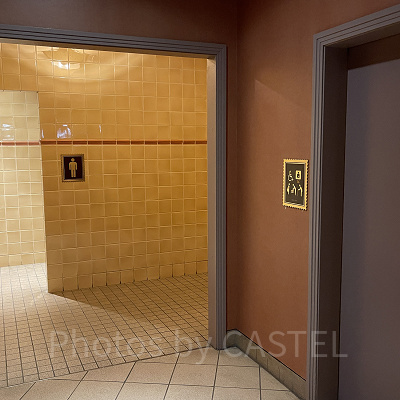 ボン・ヴォヤージュ1階のトイレ