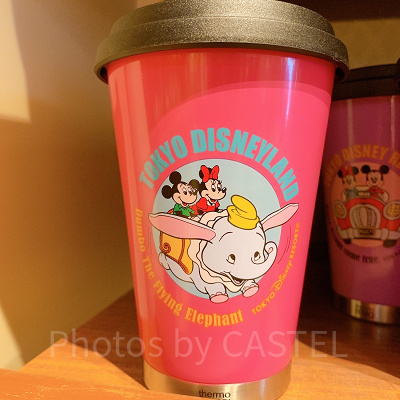 東京ディズニーランドデザイン