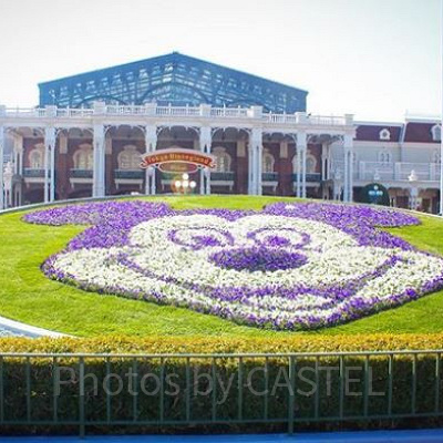 東京ディズニーランドのエントランス