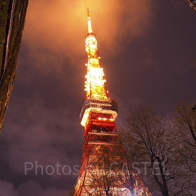 地上から見た東京タワー