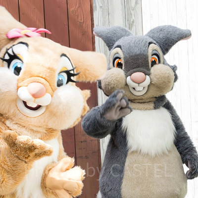 とんすけ・ミスバニー グリーティング