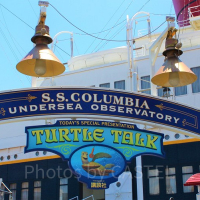 タートル・トークの事故質問＆回答まとめ