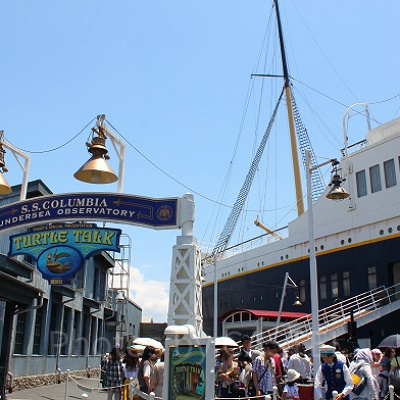 タートル・トークのファストパスは2020年2月6日（木）から！