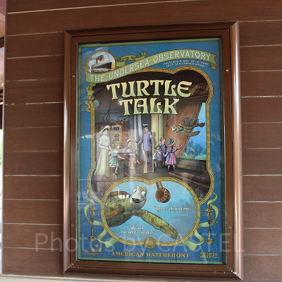 タートル・トーク