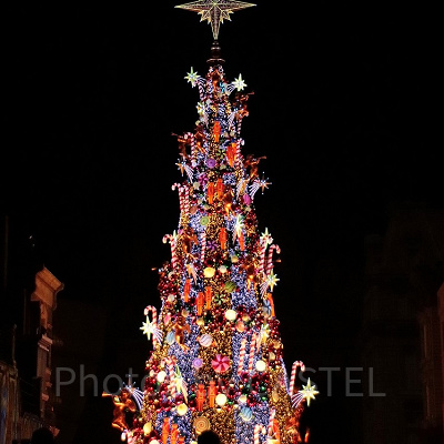 ユニバーサル・イリュージョン・ツリー