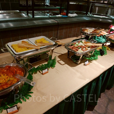 「ユニバーサル・ジャングル・ドリーム・パーティ」のビュッフェ/USJ