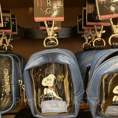 ユニバハロウィン2022グッズ：ミニポーチ