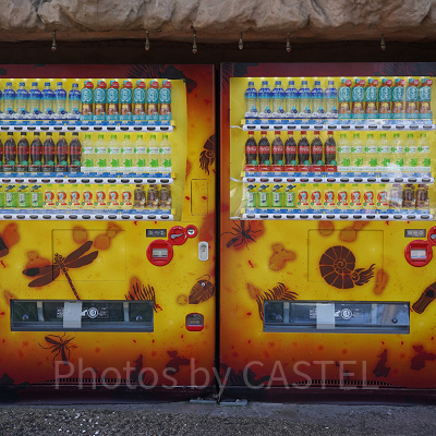 ユニバの自動販売機：ジュラシック・パーク・ザ・ライド前