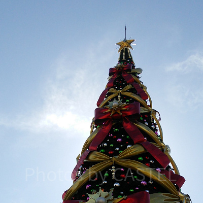 ユニバーサル　ツリー