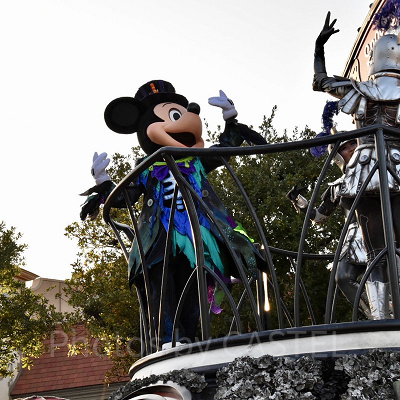 観たいショーの抽選もこのアプリで！