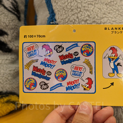 USJ2024冬グッズ/ウッディー・ウッドペッカーのブランケット