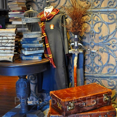 USJ／「ハリー・ポッター」忍びの地図のマグカップ| キャステル