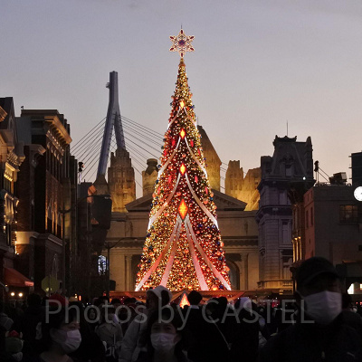 USJ／クリスマスツリー
