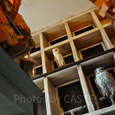 USJ／ハリーポッターエリア「フクロウ便」のフクロウ装飾