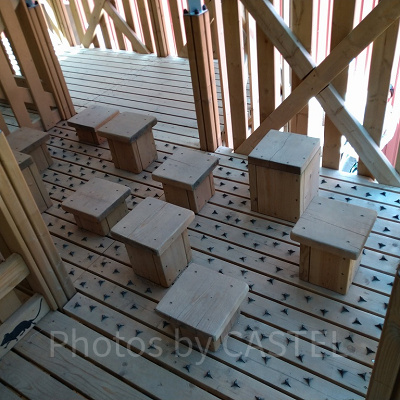 うずまきコースの様子