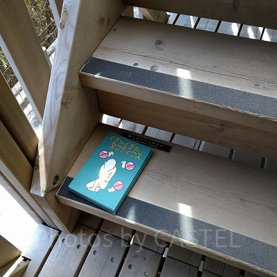 うずまきコース内