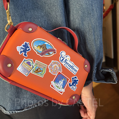 ディズニーシー ダッフィー バケーションパッケージ ショルダー