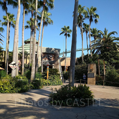 マイフレンドダイナソーの開催場所