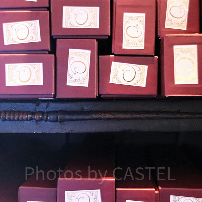 ブドウの木の杖