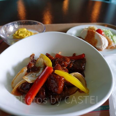 ヴォルケイニアセット