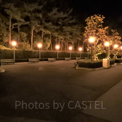 19時頃の待ち合いエリア