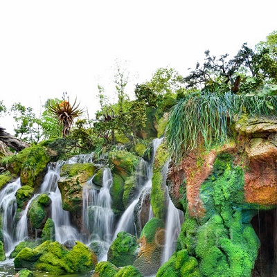 ウォルト・ディズニー・ワールドのアバターエリアの滝