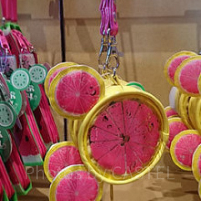 夏にぴったりのスイカのコインケース