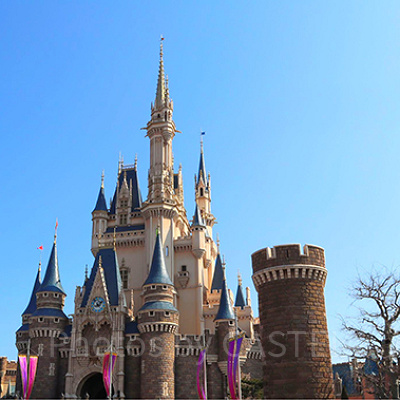 東京ディズニーランド シンデレラ城での結婚式のプラン