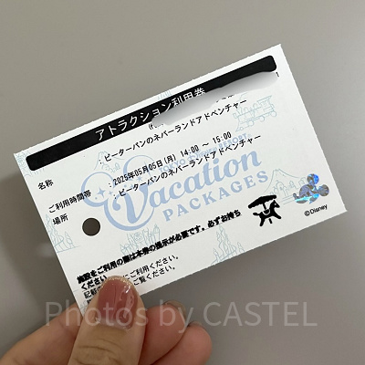 バケパのアトラクション利用券とは？