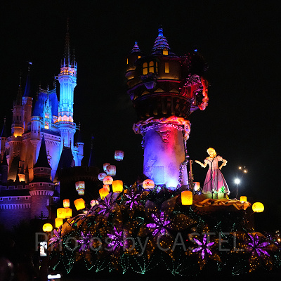 ラプンツェルの森のアトラクションは？